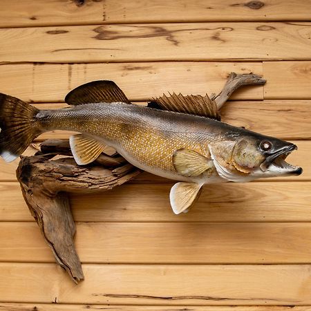 Walleye Inn Baudette Buitenkant foto